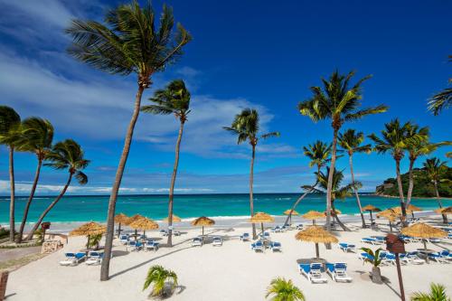a beach with chairs and umbrellas and palm trees at Pineapple Beach Club - All Inclusive - Adults Only in Willikies