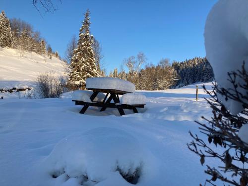 a picnic table covered in snow in a snowy field at Luxury Chalet Katarinka, Belianske Tatry in Osturňa