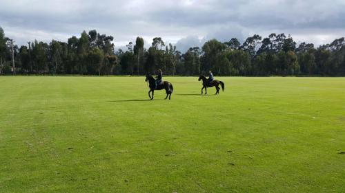 two people riding horses in a field of grass at Hosteria Papagayo Cotopaxi in Machachi