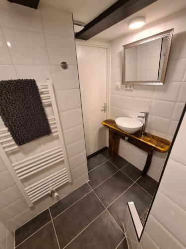 a bathroom with a sink and a mirror at Rijksmonument Havenzicht, met zeezicht, ligging direct aan zee en centrum in Vlissingen