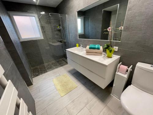 een badkamer met een wastafel, een toilet en een spiegel bij chez Muriel et Yves in La Londe-les-Maures