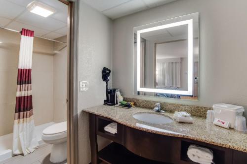 a bathroom with a sink and a toilet and a mirror at Red Roof Inn St George, SC in Saint George