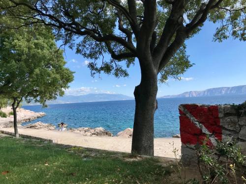 a tree on the beach near the water at LOFT-Beach-apartments RATKO in Novi Vinodolski