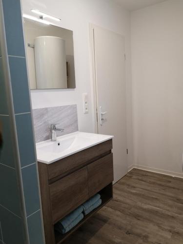 une salle de bain avec un lavabo et un miroir dans l'établissement Les Cottages Barisiens, à Bar-le-Duc