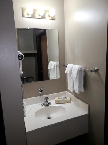uma casa de banho com um lavatório e um espelho em Canad Inns Destination Centre Portage la Prairie em Portage La Prairie