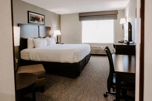 a hotel room with a bed and a window at Wingate by Wyndham - Dulles International in Chantilly