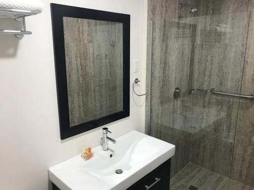 a bathroom with a sink and a shower with a mirror at Coconut Court Beach Hotel in Bridgetown