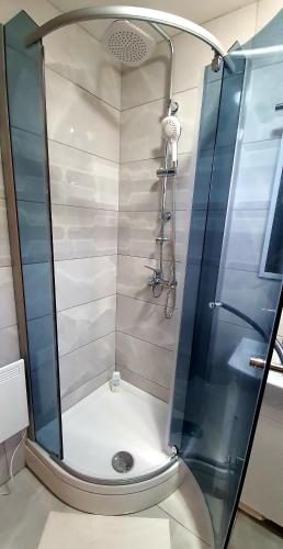 a shower with a glass door in a bathroom at Villa Mila in Pribislavec