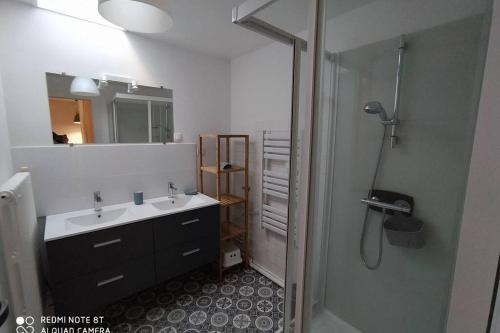 La salle de bains est pourvue d'un lavabo, d'une douche et d'un miroir. dans l'établissement Gîte La Gabare entre Loire et Chambord, à Saint-Dyé-sur-Loire