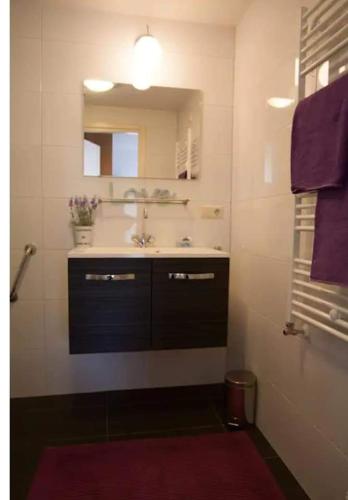 a bathroom with a sink and a mirror and purple towels at De Lindehoeve Appartement de Deel in Vledder