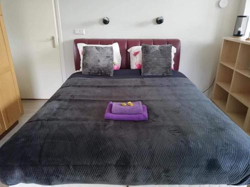 ein großes schwarzes Bett mit einem lila Kissen darauf in der Unterkunft De Lindehoeve Appartement de Deel in Vledder