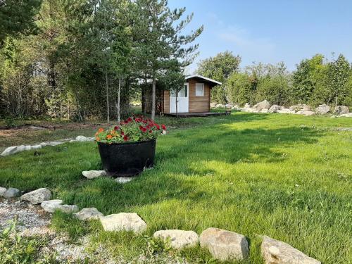 a garden with a house and a pot of flowers at Kadakasuitsu Loodustalu in Saareküla