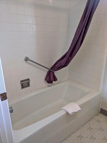 a white bath tub with a purple shower curtain at Aquarius Inn in Bicknell