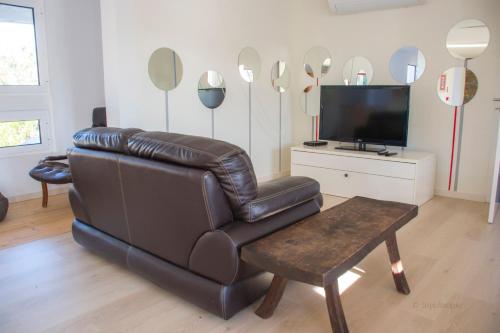 a living room with a leather couch and a tv at Monte Corgo da Vaca in Sabóia