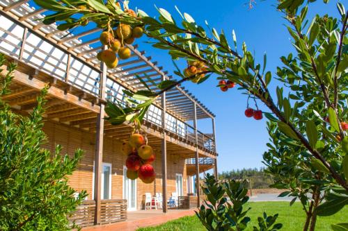 a wooden house with a tree in front of it at Monte Corgo da Vaca in Sabóia