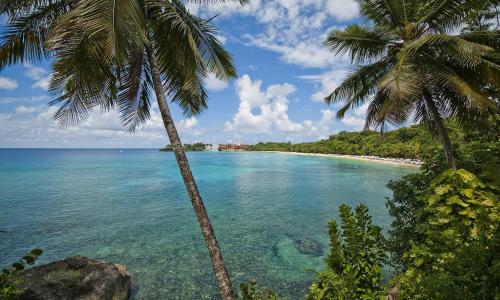 a beach with two palm trees and the ocean at Casa Valeria Boutique Hotel in Sosúa