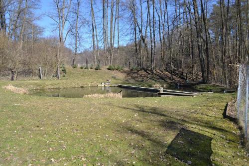 a pond in the middle of a field with trees at Appartements Bürger in Krumpendorf am Wörthersee