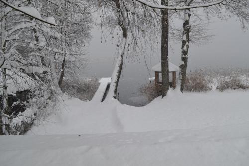 a snow covered yard with a house and trees at Appartements Bürger in Krumpendorf am Wörthersee