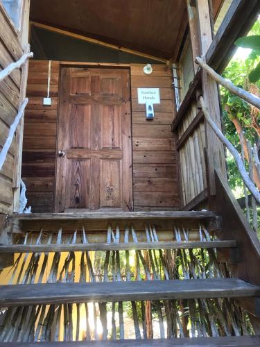 Galeriebild der Unterkunft Moringa Ingadi in Treasure Beach