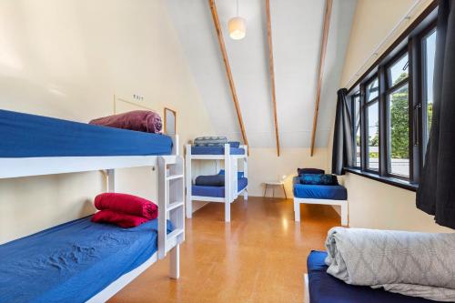 Cette chambre comprend 2 lits superposés et un canapé. dans l'établissement Raglan Backpackers, à Raglan