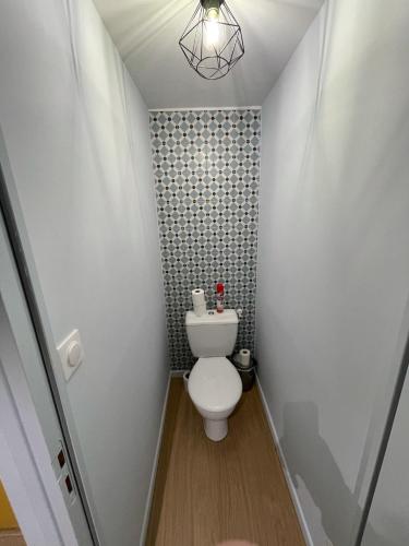 a small bathroom with a toilet and a chandelier at Logements équipés à Onnaing avec espace Balneo en OPTION proche Toyota, autoroute et Valenciennes in Onnaing