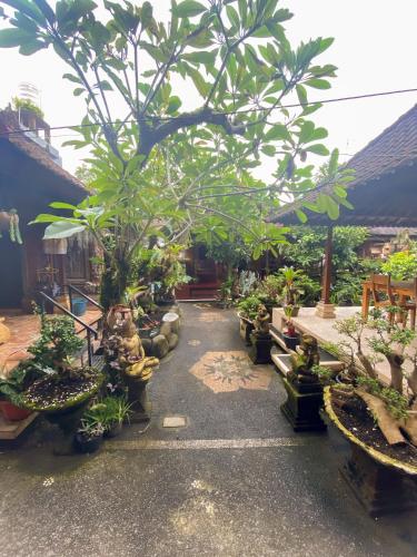 a garden with many potted plants and trees at Goutama Homestay in Ubud