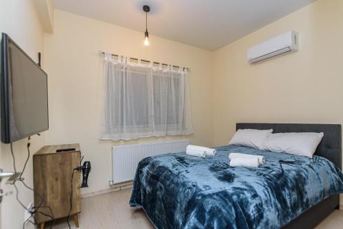 a bedroom with a bed and a flat screen tv at Aprosmeno Jacuzzi House 2 in Agros