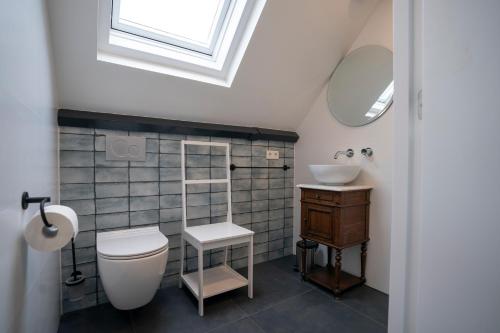 a bathroom with a toilet and a sink and a skylight at Bed & Breakfast Mir Lo in Mierlo