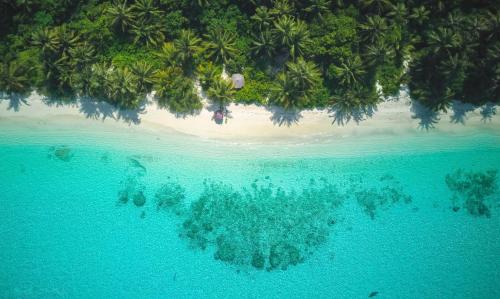 an aerial view of a tropical island with palm trees and a beach at Dhiguveli Maldives in Dhigurah