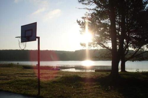 um cesto de basquetebol ao lado de uma árvore e um lago em Leśny dworek - pokoje nad jeziorem em Koczała