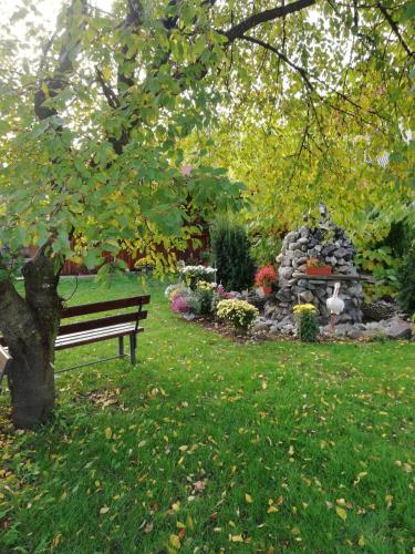 a park bench sitting under a tree in a park at Villa Nina in Campina
