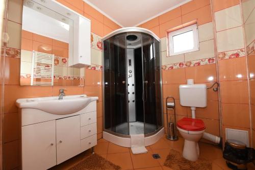 a bathroom with a shower and a sink and a toilet at Villa Nina in Campina