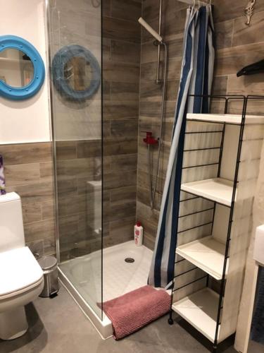 La salle de bains est pourvue d'une douche, de toilettes et d'une cabine de douche en verre. dans l'établissement PAPILLONS De Nuit Champagne Troyes, à Troyes