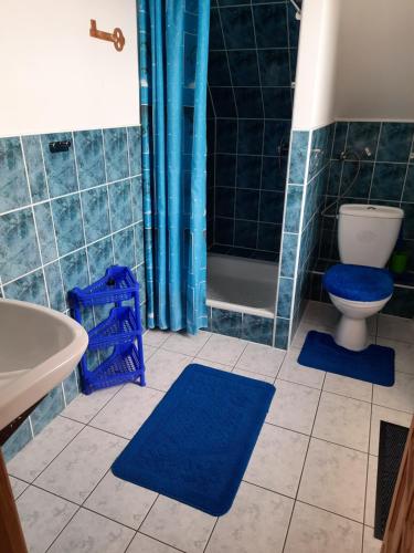 a bathroom with a tub and a toilet and blue tiles at Pokoje u Teresy in Czarna Góra