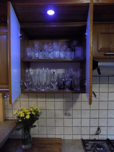 a bunch of glasses on a shelf in a kitchen at Pokoje u Teresy in Czarna Góra