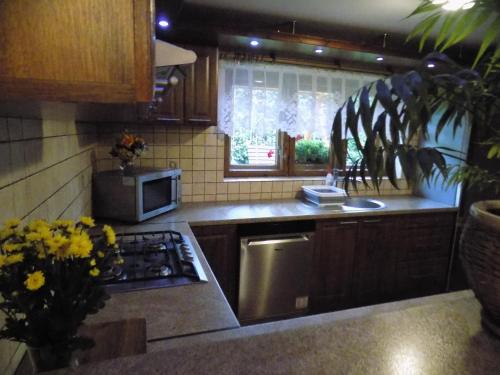 a kitchen with a sink and a stove top oven at Pokoje u Teresy in Czarna Góra
