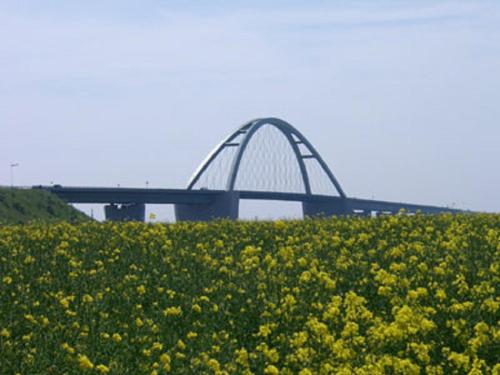 a bridge over a field of yellow flowers with a bridge in the background at Ferienhof Christian und Antje Hopp in Fehmarn