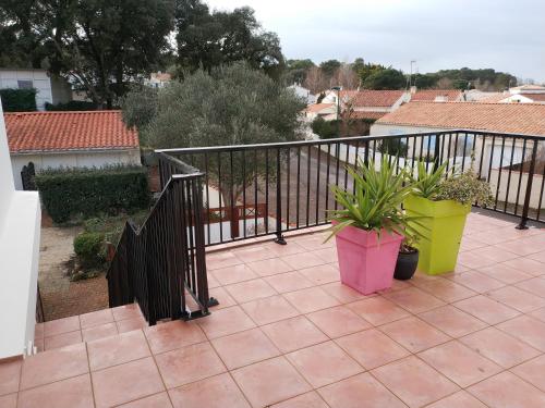 a balcony with two potted plants and a fence at L'Appartement du Veillon in Talmont