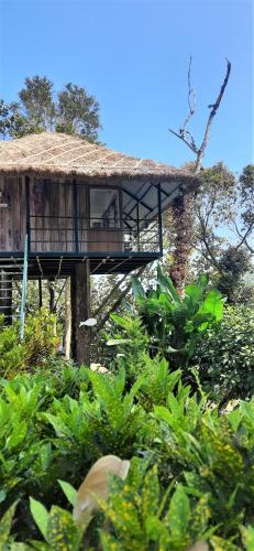 テッカディにあるNoah's Nest Tree Houseの森の中のバルコニー付き建物