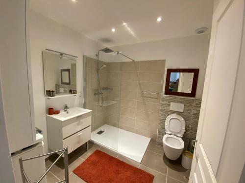 a bathroom with a shower and a toilet and a sink at Le Roet in Sisteron
