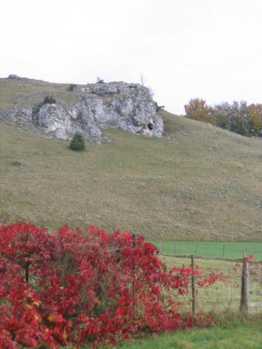 a hill with a bunch of red flowers in a field at Sontheimer Wirtshäusle in Sontheim im Stubental