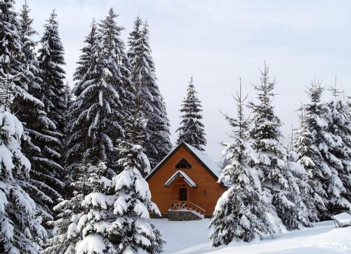 Eko-kurort Khutir Tyhyi durante l'inverno