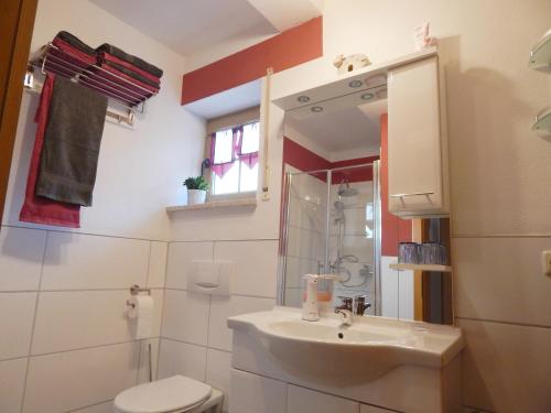 ein Bad mit einem Waschbecken und einem WC in der Unterkunft Ferienwohnungen Stark in Kelheim