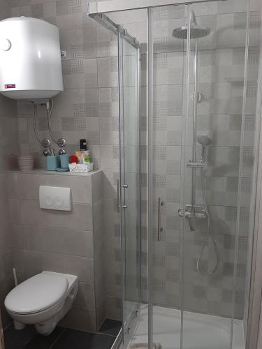 a bathroom with a toilet and a glass shower at Apartman Rene, 150m from the sea, panorama view, Crikvenica, Dramalj, parking in Dramalj
