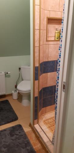 a bathroom with a toilet and a glass shower door at Лора in Lapmežciems