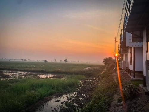 a view of a field at sunset with a building at ข้าวทุ่งเบ็ญจาโฮมสเตย์ in Ban Hat Phang