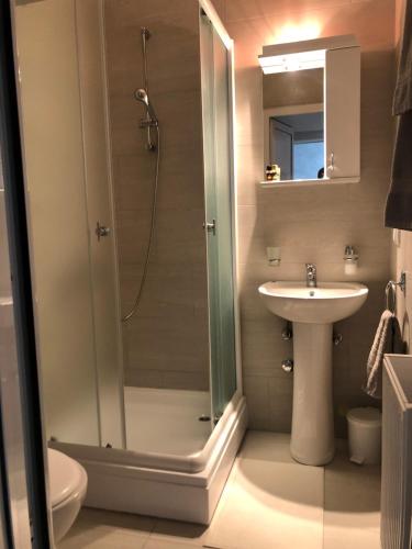a bathroom with a shower and a sink at TEPIĆ Garni Hotel in Temerin