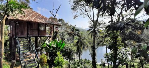 a tree house in the middle of a forest at Noah's Nest Tree House in Thekkady
