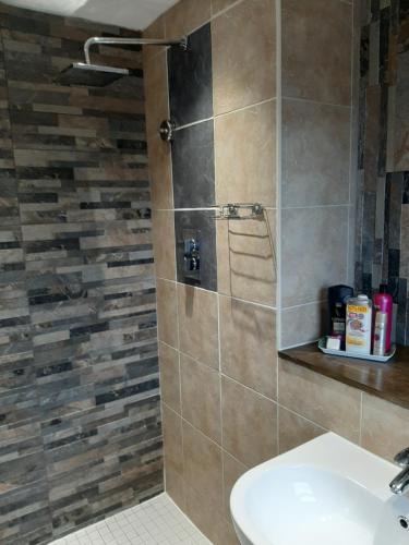 a bathroom with a shower with a sink at At Cedar Lodge Apartment in Ramsey