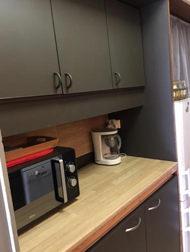 une cuisine avec un comptoir avec un micro-ondes dans l'établissement APPARTEMENT 804, à Saint-Étienne-en-Dévoluy